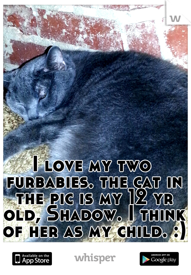 I love my two furbabies. the cat in the pic is my 12 yr old, Shadow. I think of her as my child. :)