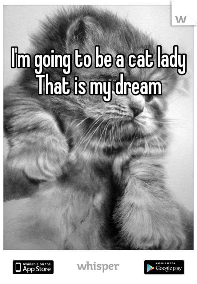 I'm going to be a cat lady 
That is my dream