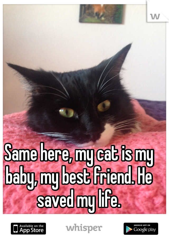 Same here, my cat is my baby, my best friend. He saved my life. 