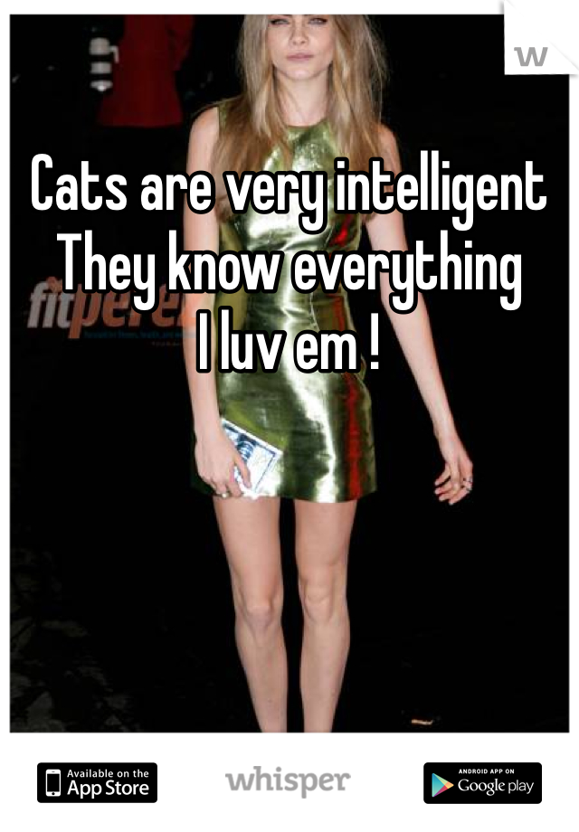 Cats are very intelligent 
They know everything 
I luv em !