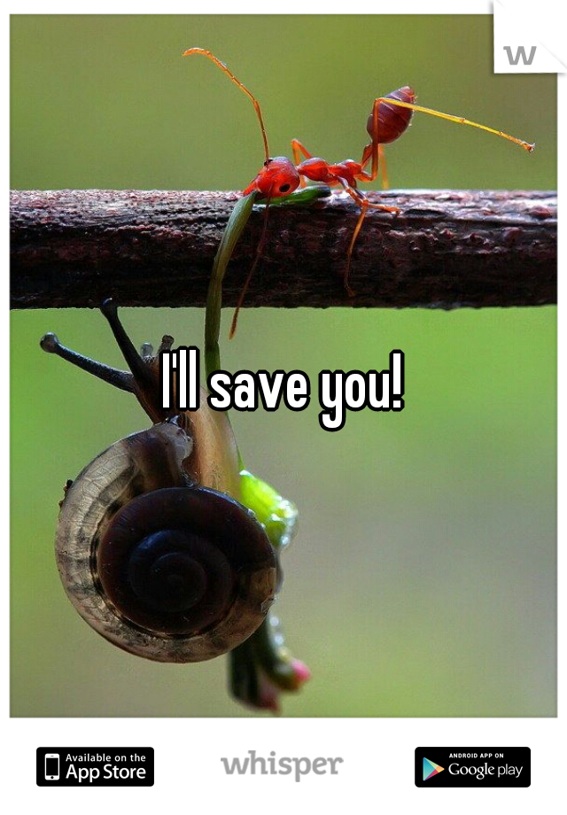I'll save you!