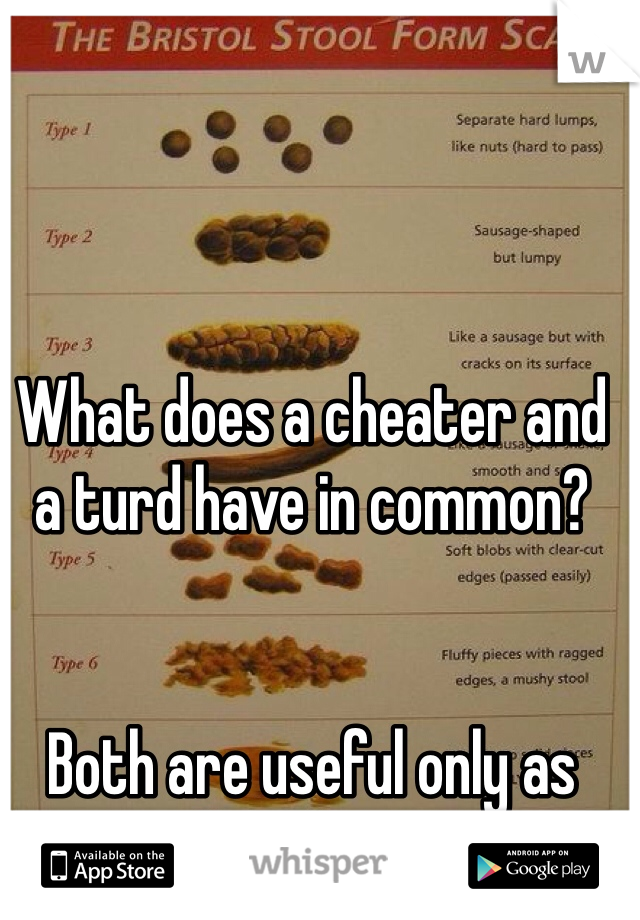 What does a cheater and a turd have in common?


Both are useful only as fertilizer.