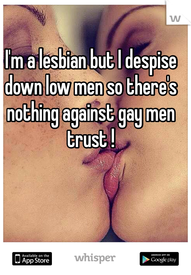 I'm a lesbian but I despise down low men so there's nothing against gay men trust !