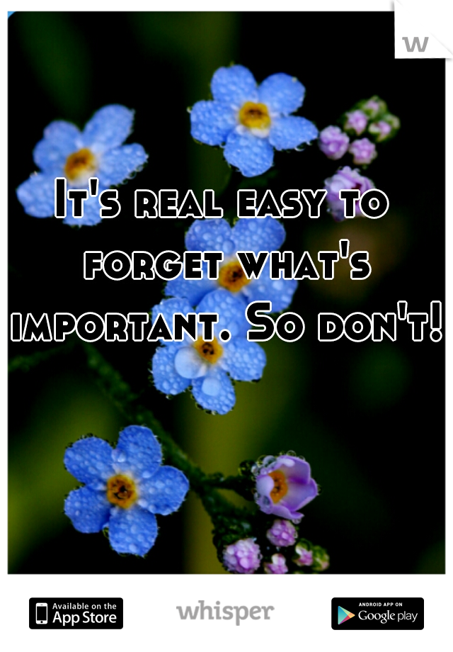 It's real easy to forget what's important. So don't!