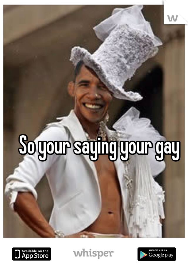 So your saying your gay
