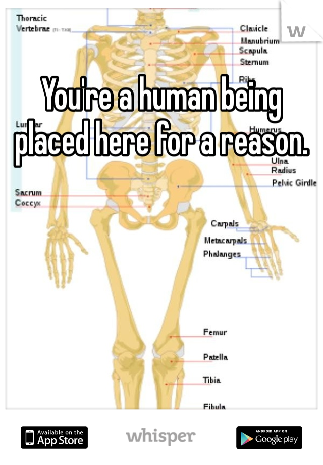 You're a human being placed here for a reason.  