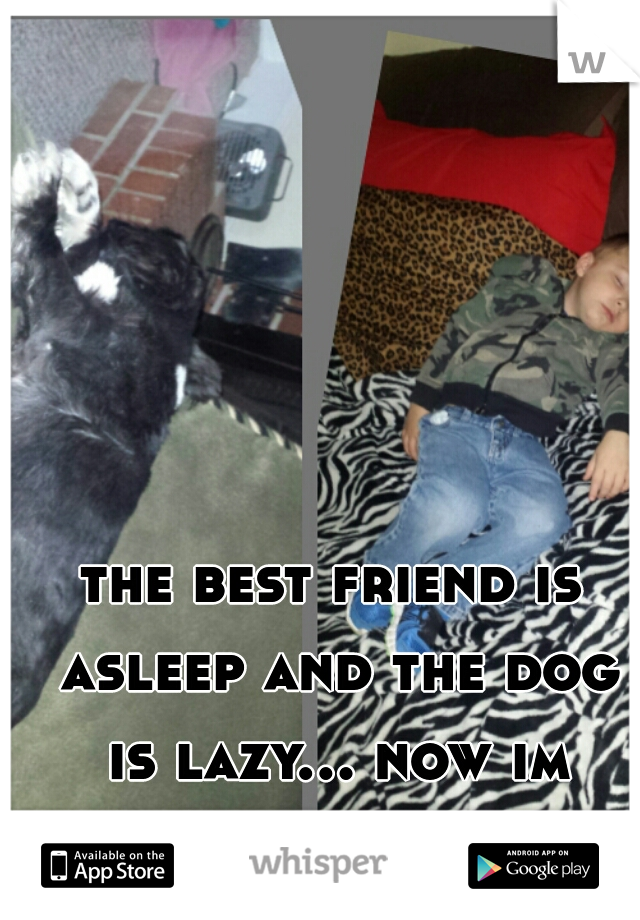 the best friend is asleep and the dog is lazy... now im bored. 