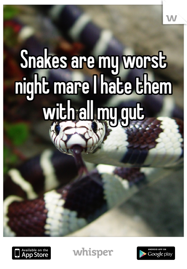 Snakes are my worst night mare I hate them with all my gut 