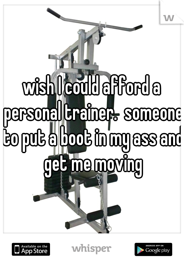 wish I could afford a personal trainer.  someone to put a boot in my ass and get me moving