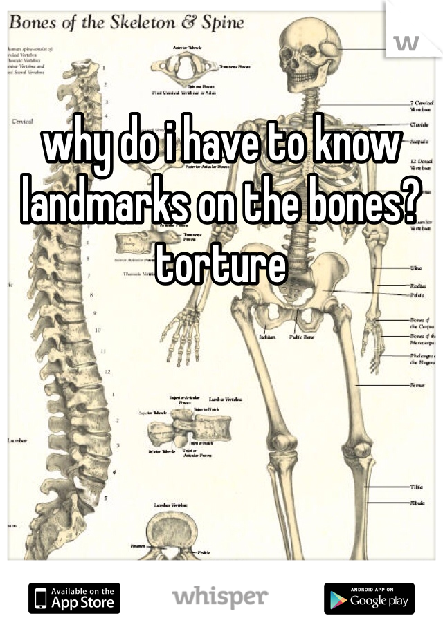 why do i have to know landmarks on the bones? torture