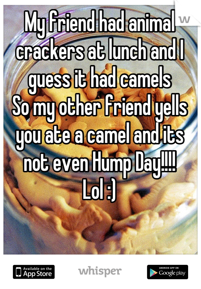 My friend had animal crackers at lunch and I guess it had camels 
So my other friend yells you ate a camel and its not even Hump Day!!!!
Lol :)