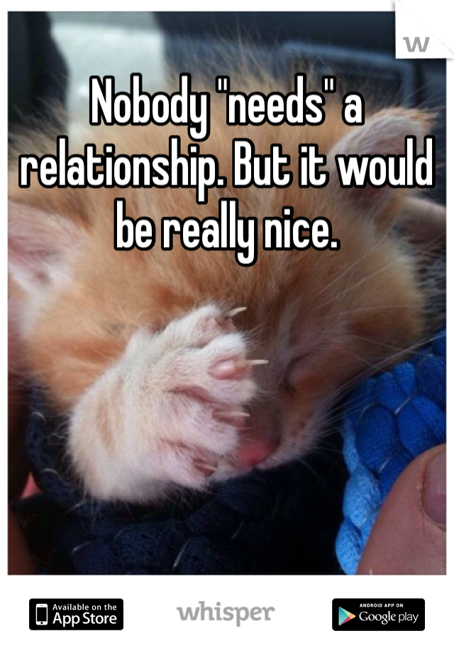 Nobody "needs" a relationship. But it would be really nice. 