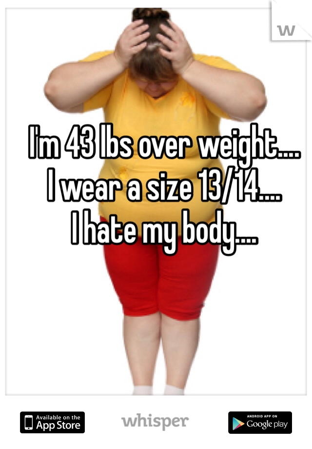 I'm 43 lbs over weight.... 
I wear a size 13/14....
I hate my body....