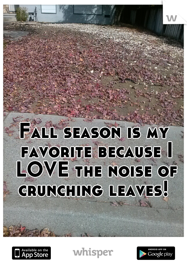 Fall season is my favorite because I LOVE the noise of crunching leaves! 