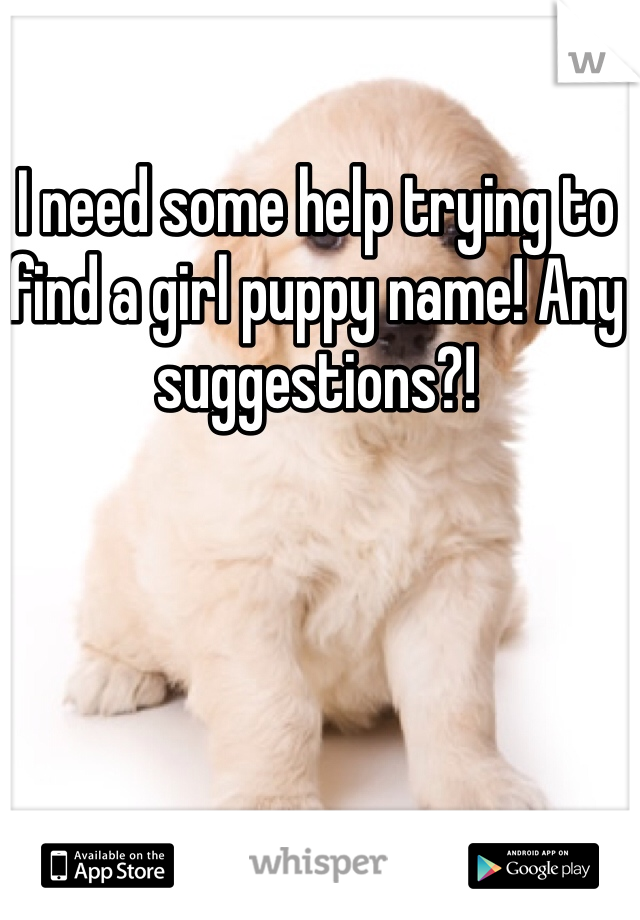 I need some help trying to find a girl puppy name! Any suggestions?!