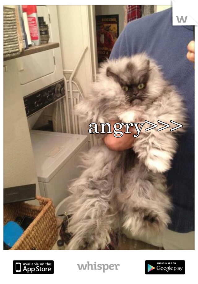 angry>>>