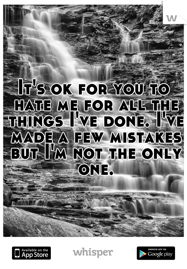 It's ok for you to hate me for all the things I've done. I've made a few mistakes but I'm not the only one.