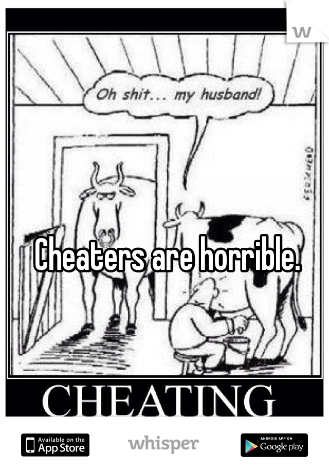 Cheaters are horrible.