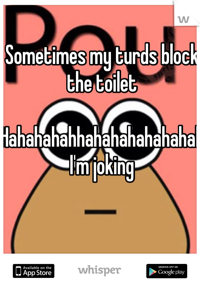 Sometimes my turds block the toilet 

Hahahahahhahahahahahahah I'm joking