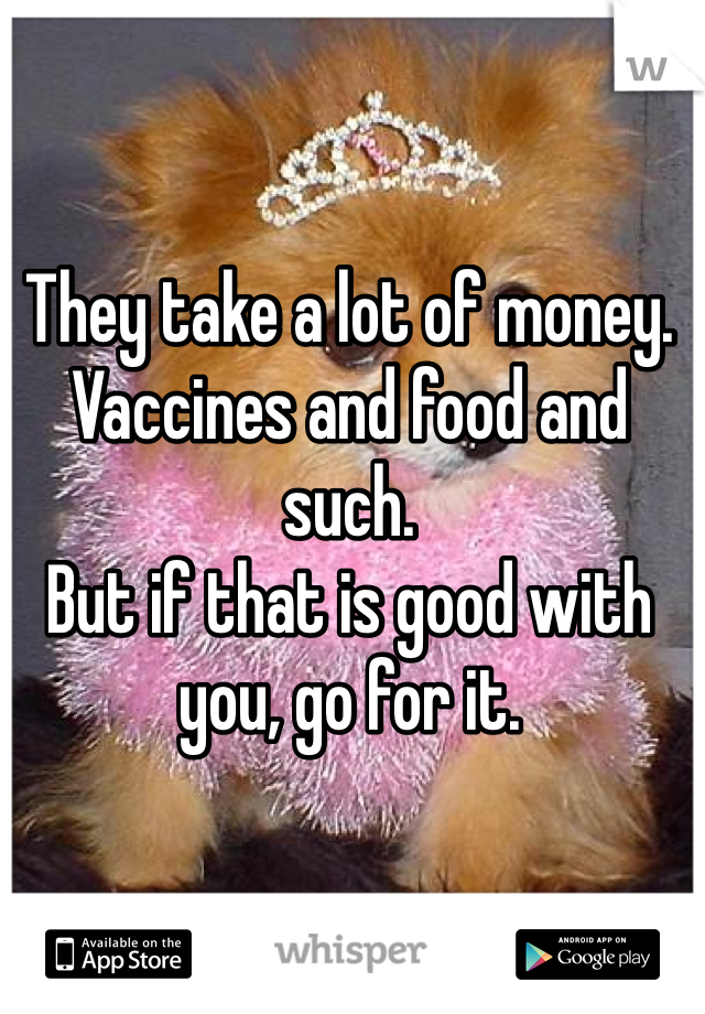 They take a lot of money. Vaccines and food and such. 
But if that is good with you, go for it. 