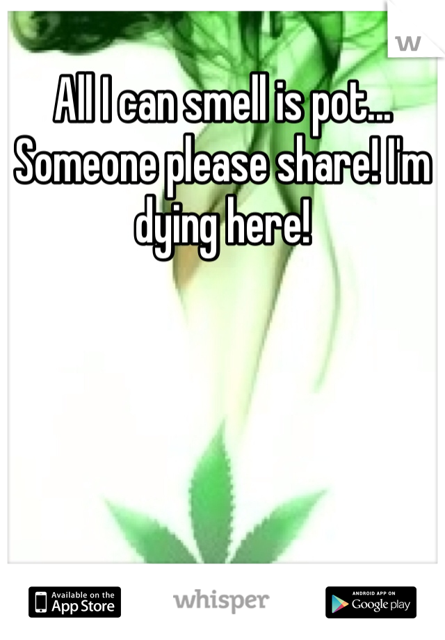 All I can smell is pot... Someone please share! I'm dying here!