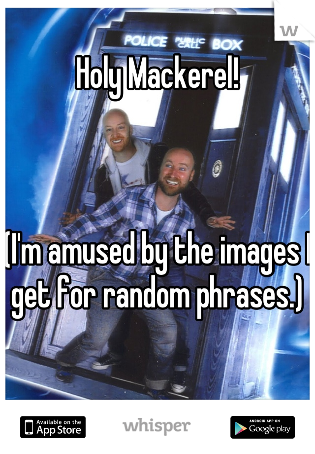 Holy Mackerel!



(I'm amused by the images I get for random phrases.)