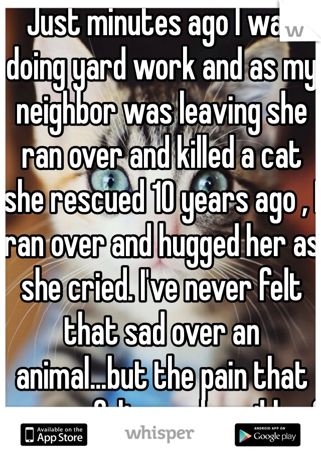 Just minutes ago I was doing yard work and as my neighbor was leaving she ran over and killed a cat she rescued 10 years ago , I ran over and hugged her as she cried. I've never felt that sad over an animal...but the pain that women felt was horrible =(