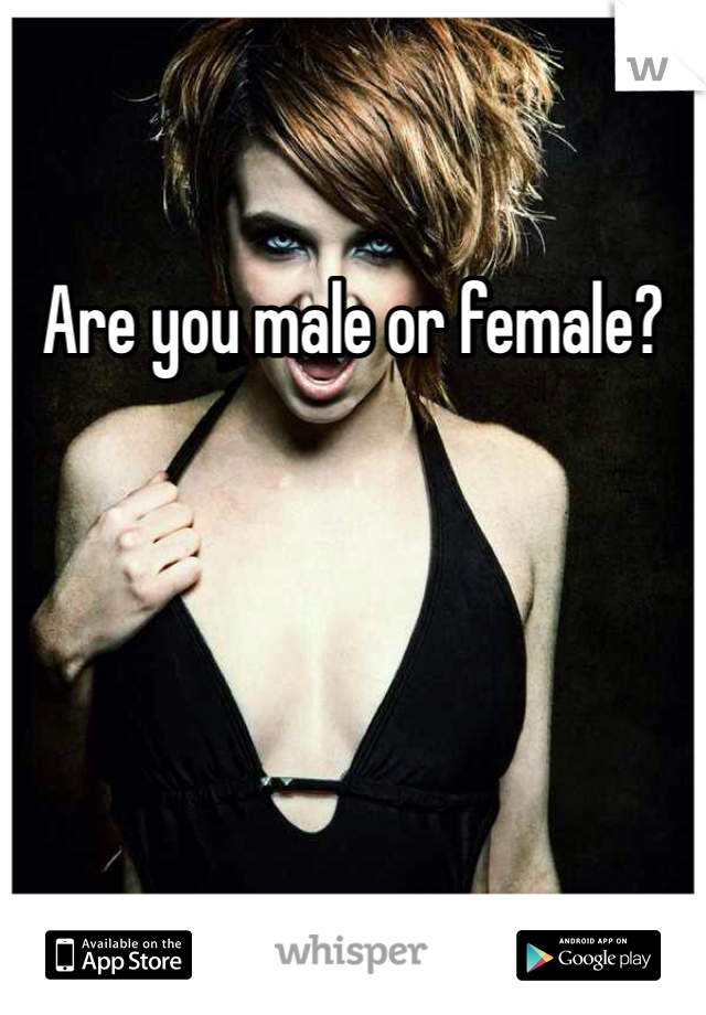 Are you male or female?