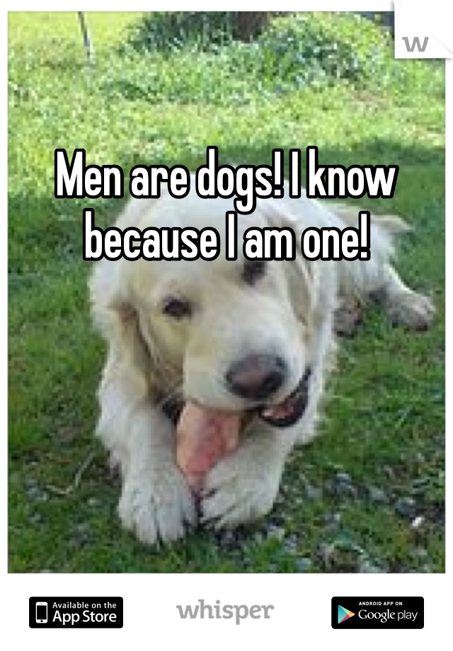 Men are dogs! I know because I am one!