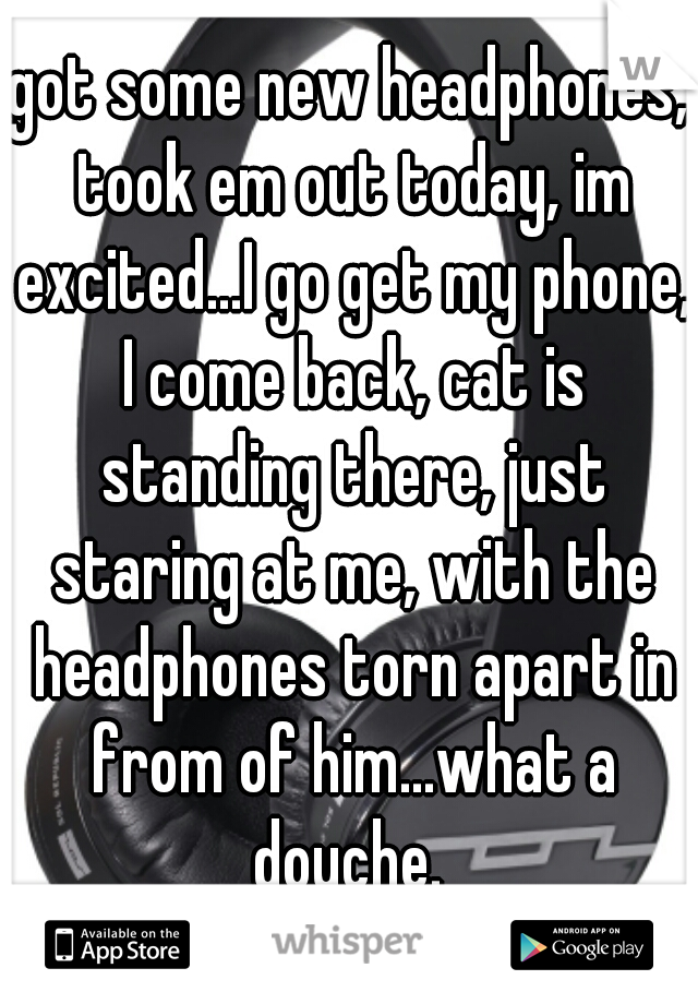 got some new headphones, took em out today, im excited...I go get my phone, I come back, cat is standing there, just staring at me, with the headphones torn apart in from of him...what a douche. 