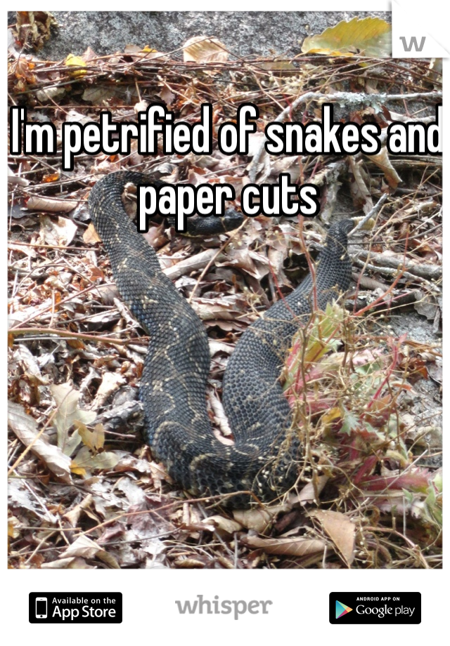 I'm petrified of snakes and paper cuts
