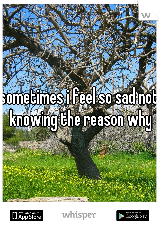 sometimes i feel so sad not knowing the reason why