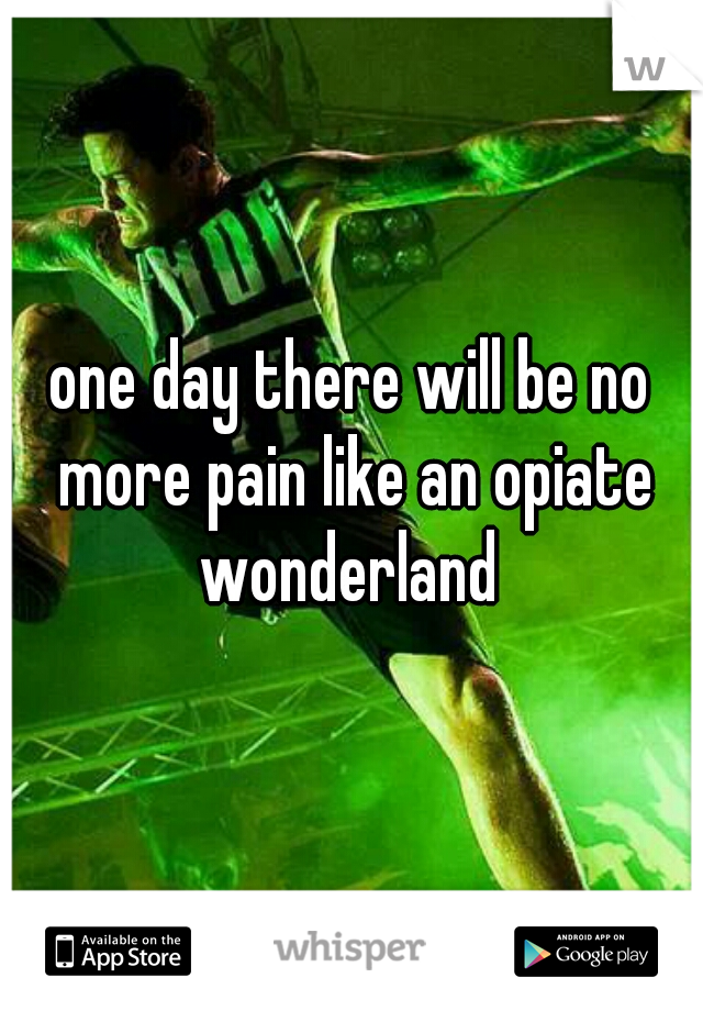 one day there will be no more pain like an opiate wonderland 