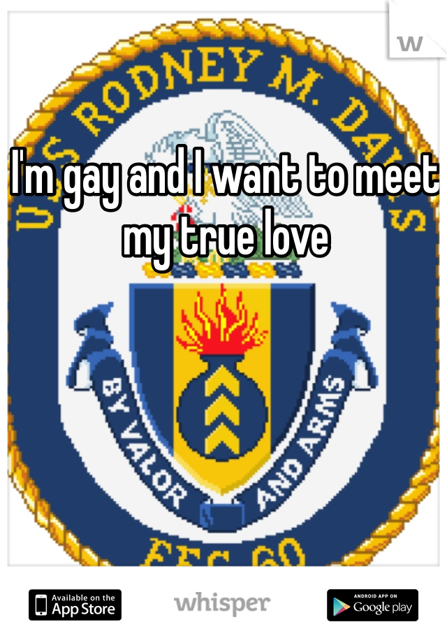 I'm gay and I want to meet my true love