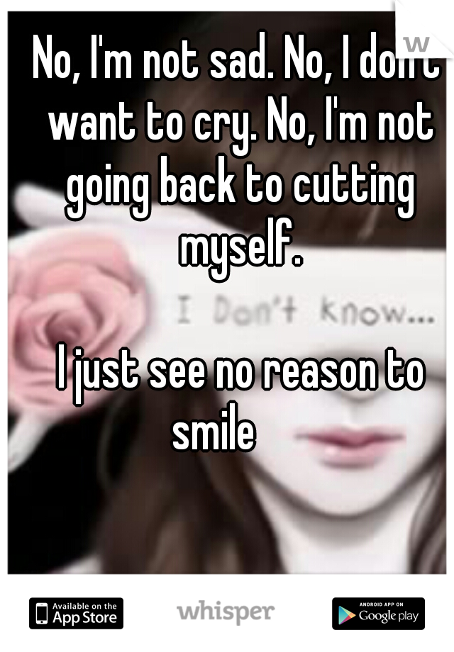 No, I'm not sad. No, I don't want to cry. No, I'm not going back to cutting myself.
                                                   I just see no reason to smile      