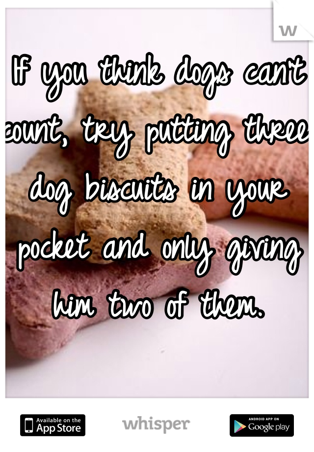 If you think dogs can't count, try putting three dog biscuits in your pocket and only giving him two of them.