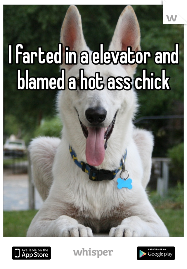 I farted in a elevator and blamed a hot ass chick