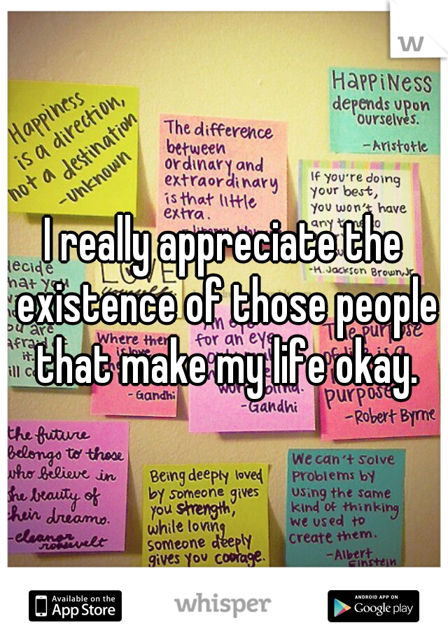 I really appreciate the existence of those people that make my life okay.