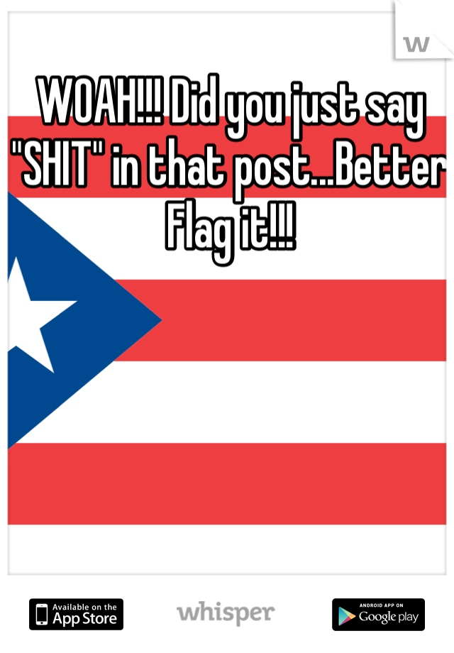 WOAH!!! Did you just say "SHIT" in that post...Better Flag it!!!