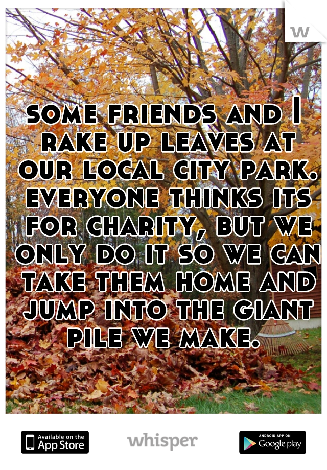 some friends and I rake up leaves at our local city park. everyone thinks its for charity, but we only do it so we can take them home and jump into the giant pile we make. 