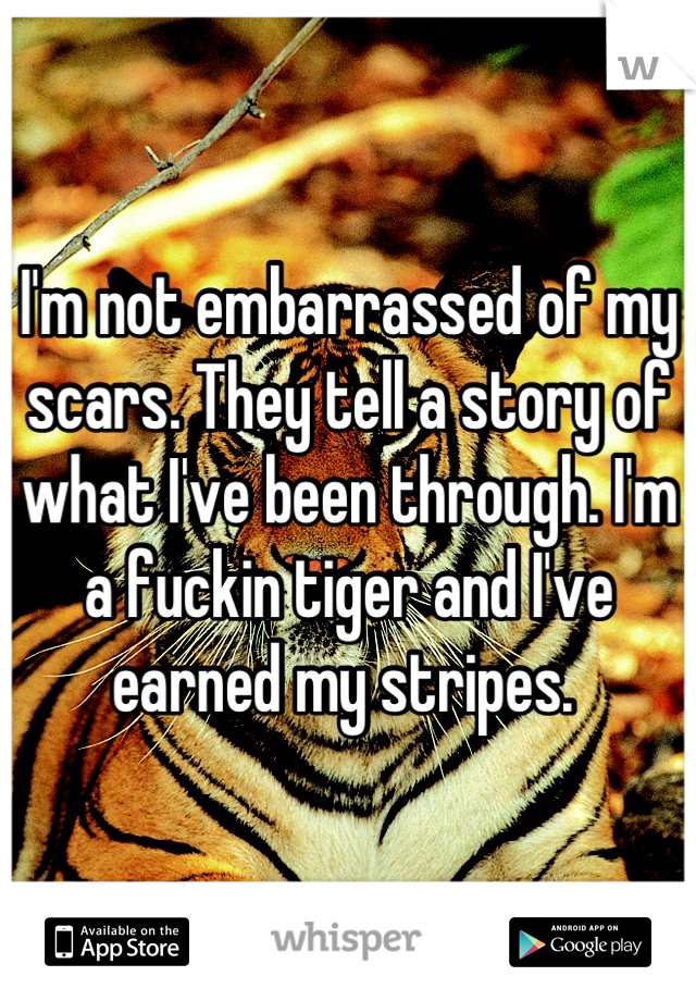 I'm not embarrassed of my scars. They tell a story of what I've been through. I'm a fuckin tiger and I've earned my stripes. 