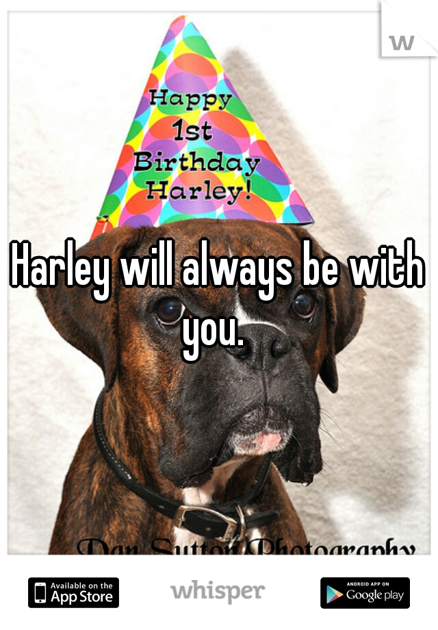 Harley will always be with you.  