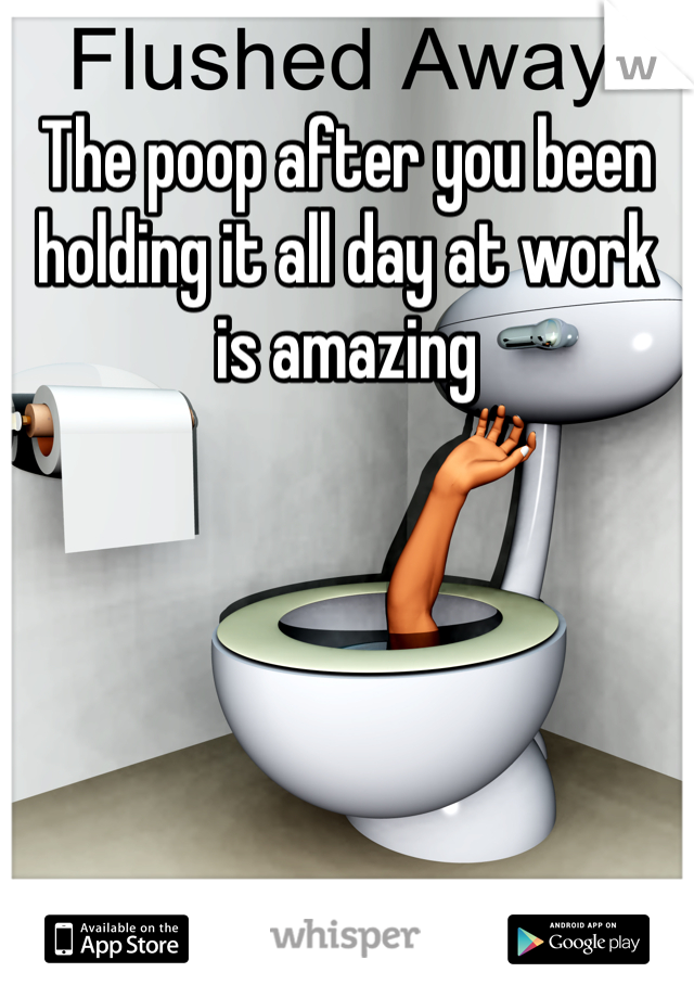 The poop after you been holding it all day at work is amazing