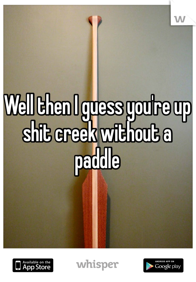 Well then I guess you're up shit creek without a paddle 