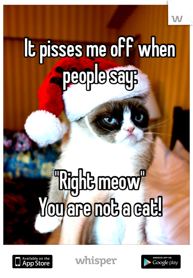 It pisses me off when people say:



"Right meow"
You are not a cat!