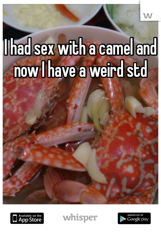 I had sex with a camel and now I have a weird std 