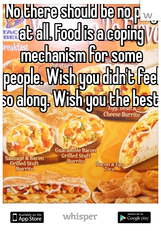 No there should be no pity at all. Food is a coping mechanism for some people. Wish you didn't feel so along. Wish you the best. 