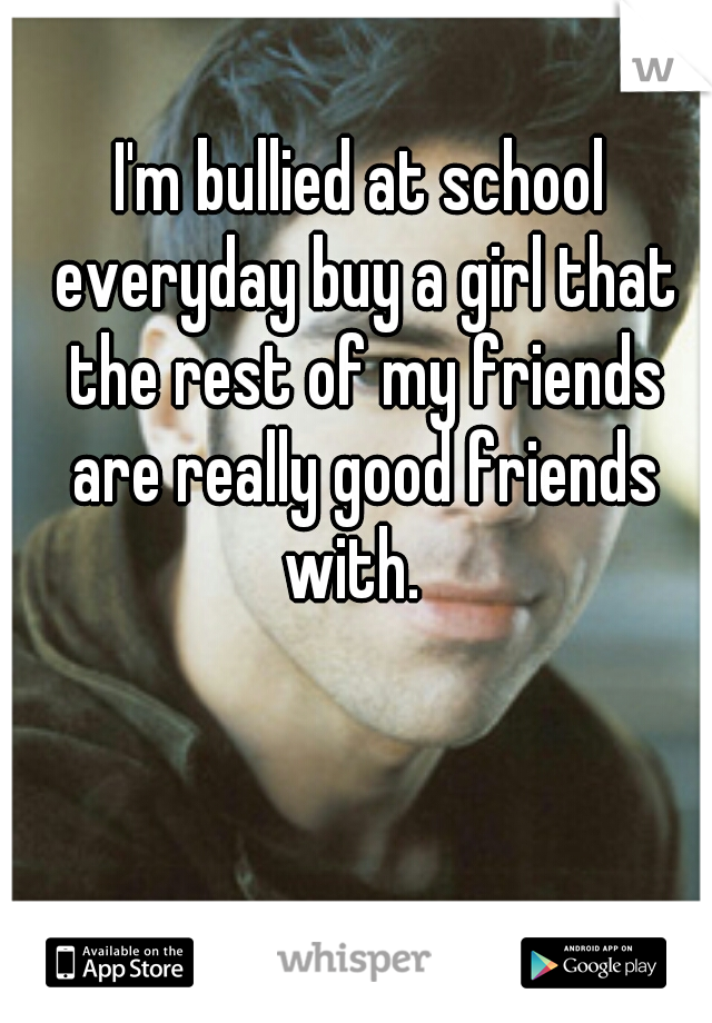 I'm bullied at school everyday buy a girl that the rest of my friends are really good friends with.  