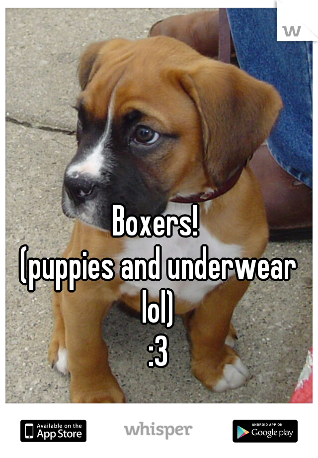 Boxers! 
(puppies and underwear lol) 
:3