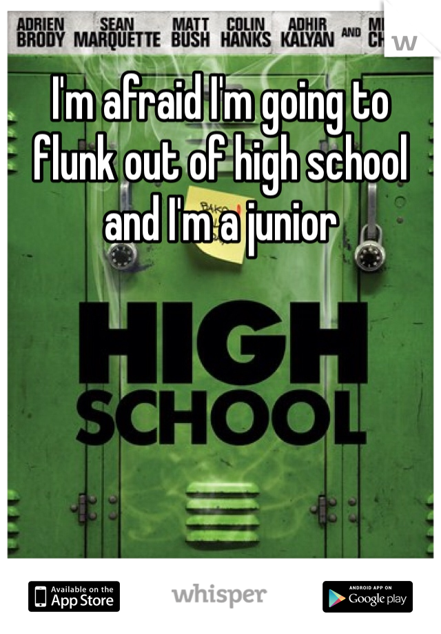 I'm afraid I'm going to flunk out of high school and I'm a junior
